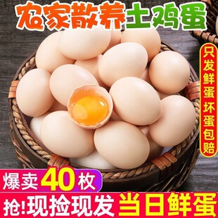40ö���u���r��ɢ�B���ӵ��������r����ɽ�ּ����ι�B�ЋD����10