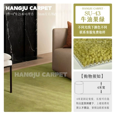 Colorful Solid-Color Carpet for Photography, Car Carpet - su-43-avocado-green