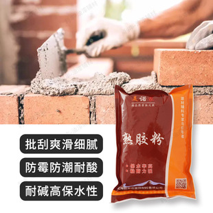 Supply Construction Site Paint Shop Special Cooked Rubber Powder Five-In-One Moisture-Proof and Mildew-Proof Cellulose Wall Powder Wall Coating Accessories