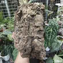 ������ܛľ ¹��ާʯ�����m�����m��ֲ��Ȼ��Ƥ ���������쾰����