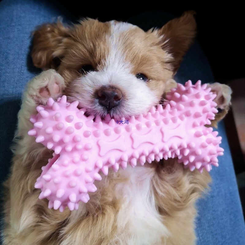 Dog Toys, Bite-Resistant Molar Sticks, Dog Chew Gum, Rubber Balls, Small and Medium-Sized Puppies, Teddy Pomeranian Pets to Relieve Boredom