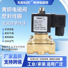 NBSZC 厂家 2W系列 4分黄铜塑封电磁阀 2W-15S