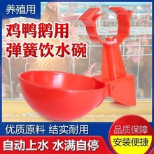 鸡用饮水碗育雏鸡鸭自动喂水吊碗饮水器接水碗6分管卡式水碗养殖