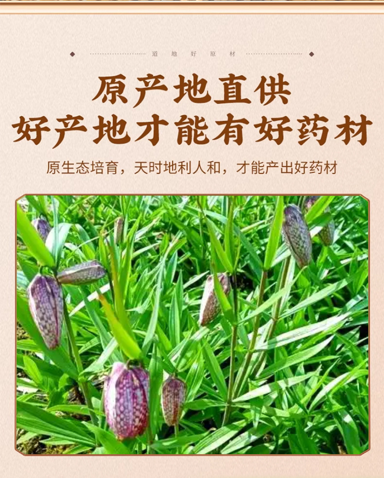 Ping Bei Mu Dried Fritillaria Bulbs 500g Natural Sun Dried TCM Herbal Decoction Ingredient key features