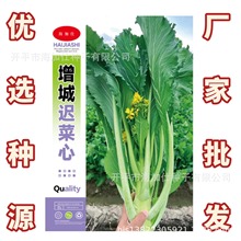 tķNӡ3ˡɫrҲяS߲˷Nl