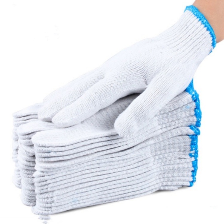 IMG_1208(20231212-023819)