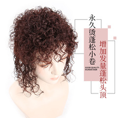 Top-up hair piece for women, bangs wig piece, sheep wool curly wavy hair, fluffy small curls, real human hair, invisible and seamless, conceals white hair