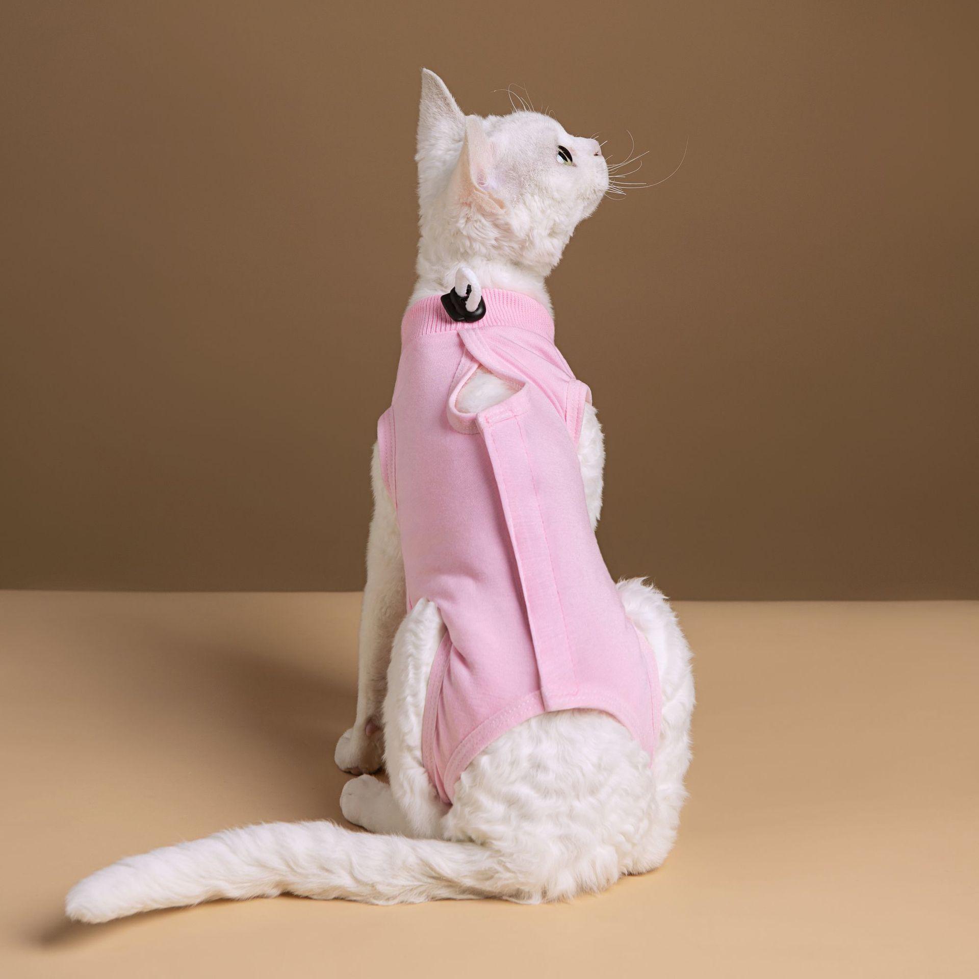애완동물 용품, 고양이 옷, 중절 후 옷, 핥기 및 물기 방지, 부드럽고 매우 탄력 있고 편안한 애완동물 옷, 공장 직접 판매