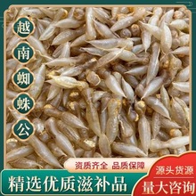 Խ��֩�빫�������ֻ���ʱ�ʼ۳����̲�֩�뽺�㽺�ɻ�����