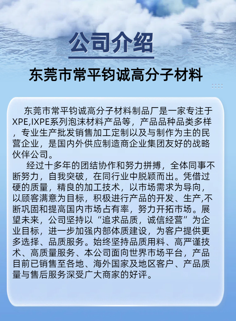 XPE公司介绍.png