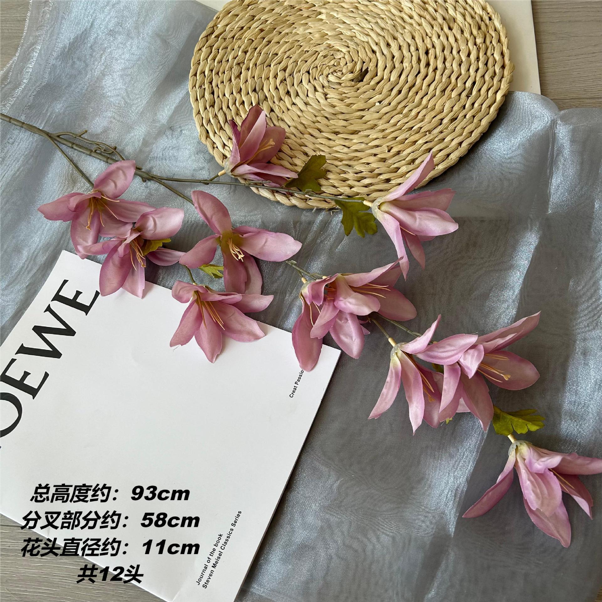 XKL 바람과 비 난초