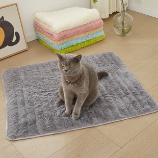 Amazon Solid Color Plush Pet Mat Warm Dog Mat Blanket Nest Sleeping Mat Cat Mat Bite Resistant Machine Washable