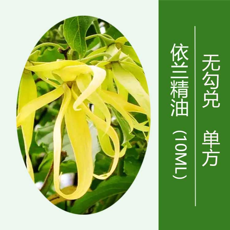 无勾兑单方依兰精油10ml护肤按摩精油原料批发调香依兰精油香薰