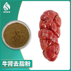 牛肾去脂粉 牛内脏粉牛器官粉动物提取粉水溶性粉末半成品原料