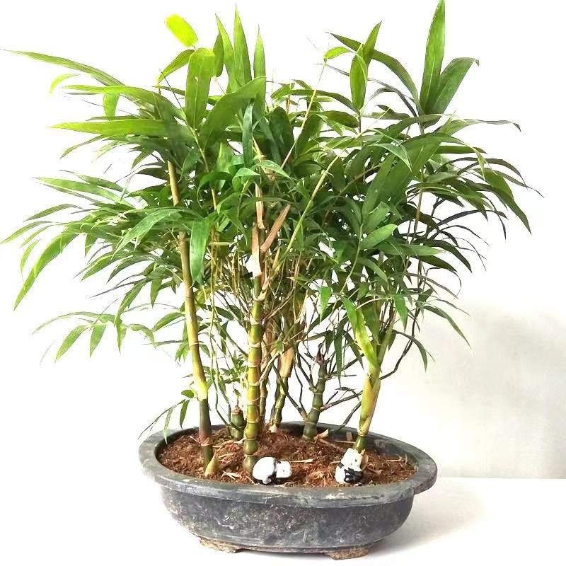 0de38bdb-45e9-40f9-98bc-69992efca938.jpe