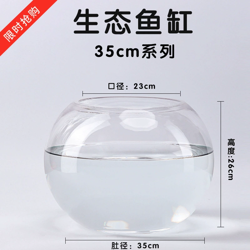 Transparent glass small aquarium for office