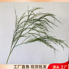 ?GɫϵɭϵYõ߼ٻGֲ·廨