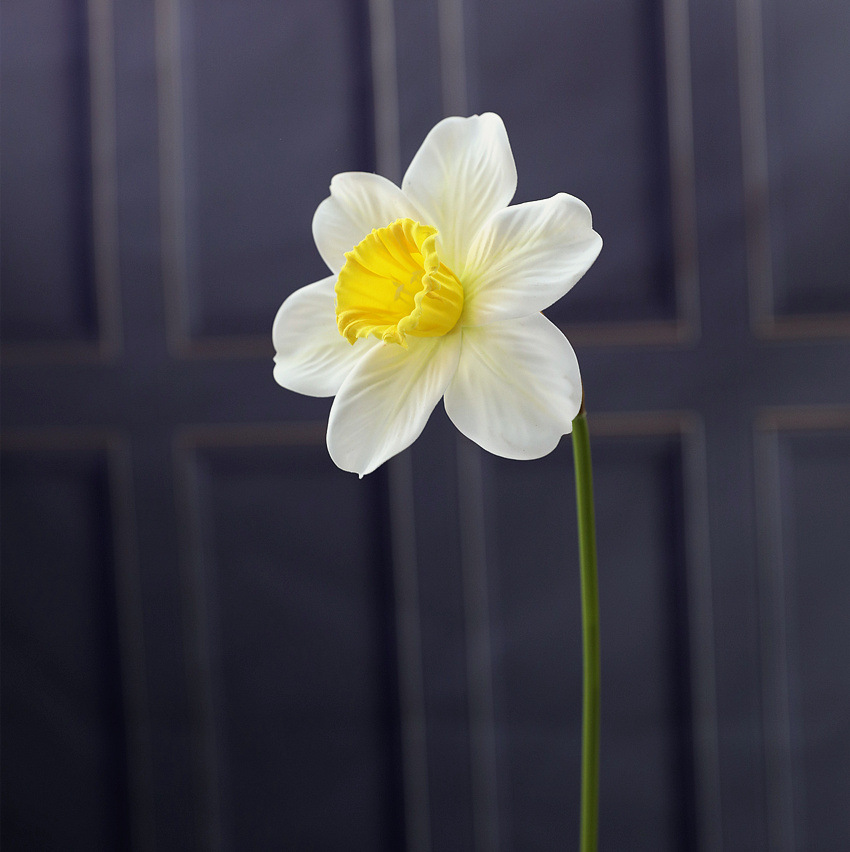 9G4A2938_副本.jpg