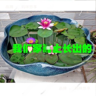 30�ɻ����������˯ɏ���I�B������ɏˮ��ֲ����]������