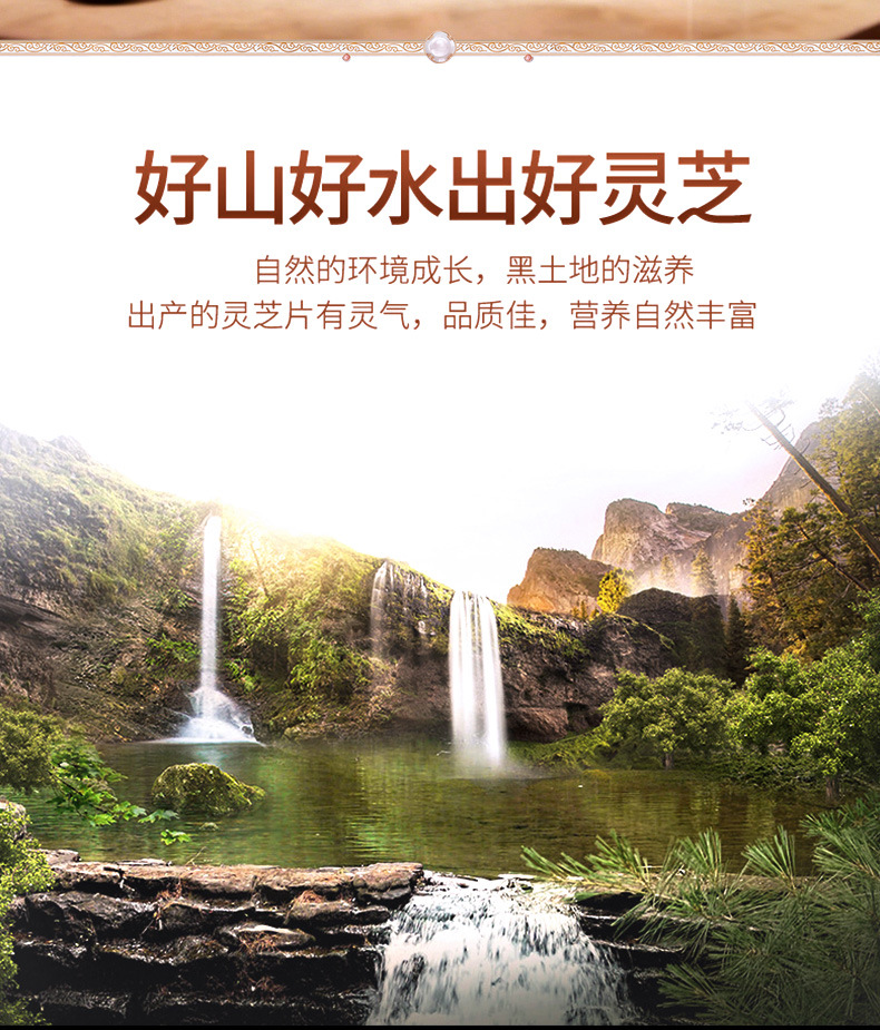 Organic Reishi Mushroom Slices 100g Red Lingzhi Dried Herb for Tea and Decoction overview