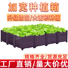 �̨�Nֲ��N�����ش��ͥ��피Ӻ��L�������ϻ����һ�����l�羳