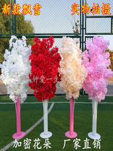 �¿��hѩ·�����Fˇ�_�I�c��T̨���@��Ʒ̨��c���߻�Y�b�