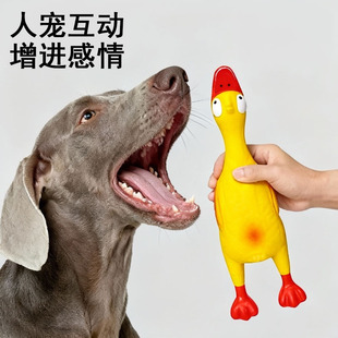 �S��ֱ�N�������z�����ܛ��ҧ���z�lſ����С�͹���������l