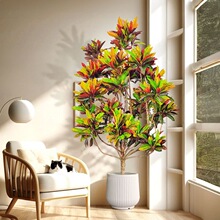 �߲�׃ɫľ�Gֲ���Դ����҃ȾGֲ�����ļ����B׃�~ľ����ֲ��