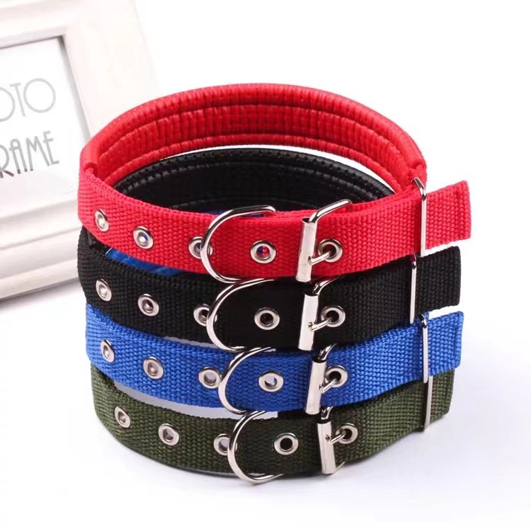 Collar para perros Teddy collar de pelo de oro collar de espuma para perros grandes y medianos collar de cuello resistente al desgaste collar artículos para mascotas
