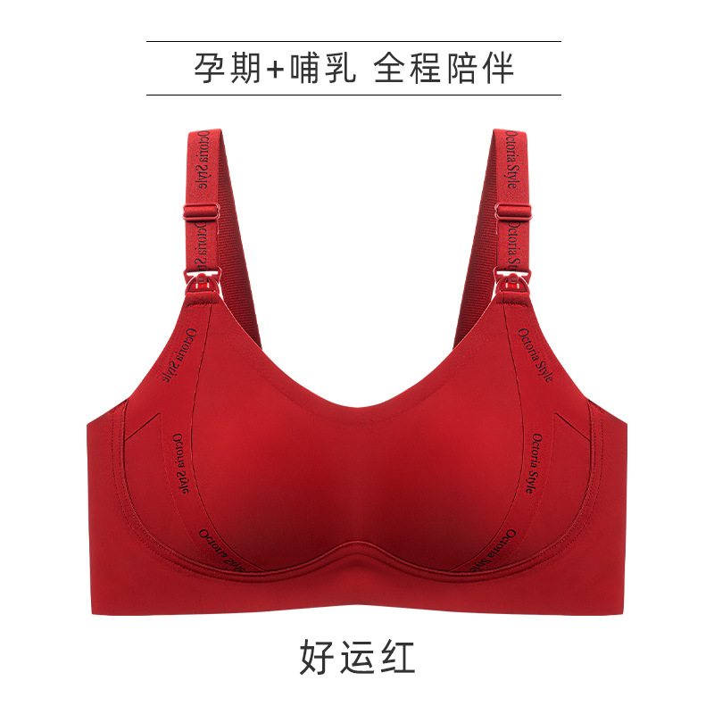 앙고라 레드