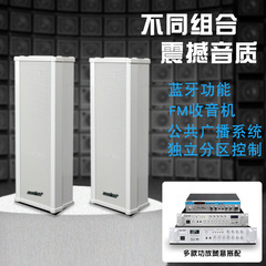 ST-51音柱有源室外防水戶外音響校園商用壁掛式音箱廣播音箱