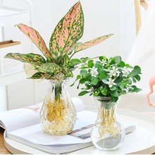 �lؔ���k���҃ȾGֲ���ܺ��BС���ԾG�}ˮ��ȥ����ȩ�������ֲ��