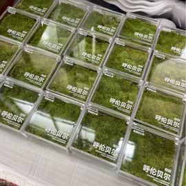 微景观;植物工艺品;微景观瓶