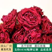 ���ī�tõ�廨��Ů���_��ˮ�ȵ�һ��һ���o��õ�廨�����B����