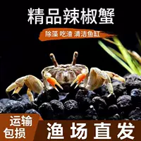 Чили краб домашний краб мини-краб часы краб пресноводный краб водорослевый краб, ест мусор, чтобы очистить аквариум от фекалий