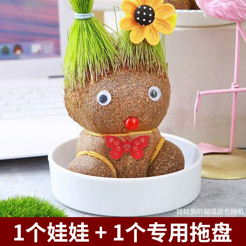 [批发草头娃娃浇水头上长草人绿植长头发儿童好养种草幼儿园桌面小]