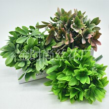����ֲ����ˮ���_�h�����ϻ� �ߙn�廨�b��ϙ��~�������滨