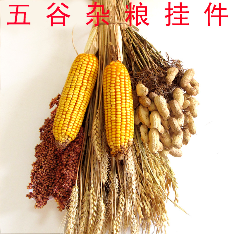 农家乐装饰五谷丰登挂件干玉米棒子高粱水稻道具花束农民丰收节
