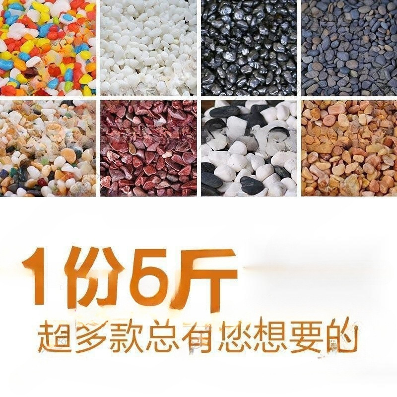 多肉铺面石天然雨花石鹅卵石花盆栽五色小石子鱼缸装饰白色小石头