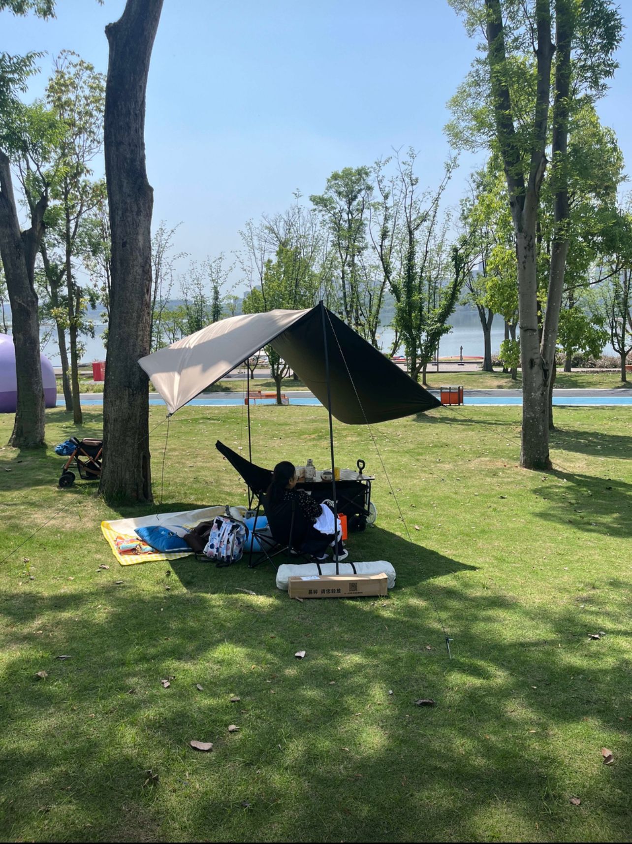 Vinyl Canopy Tent Outdoor Portable Large Camping Gear Picnic Sunshade Octagonal Butterfly-Shaped Sun Shelter