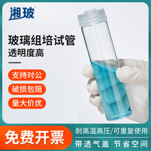 湘玻玻璃组培试管高硼硅材质耐高温带透气盖组培瓶菌种瓶