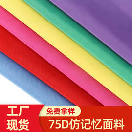 现货75D平纹斜纹仿记忆布防水面料户外风衣运动服仿记忆布料批发