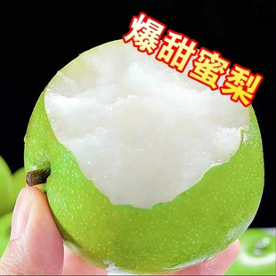 �Xɽ������Ƥ�ʹ���10�ﮔ��ˮ������Ƥ����֭�������l���]1��