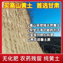 黄土高原黄土土壤种菜种植土宝宝玩的黄土泥巴泥土