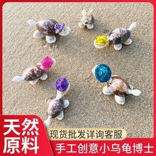 小乌龟贝壳博士海螺摆件工艺品海边旅游纪念批发手作海贝贝壳摆件