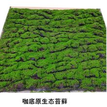 ̦�\��̦���栝�G����ֲ�䁵��g�S�����l����ֲ�����Gֲ��