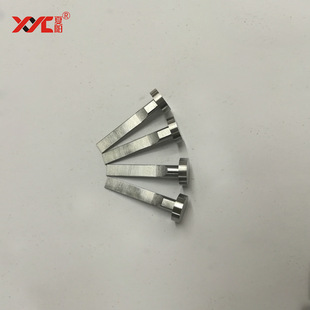 Xyc Precision Mold Accessories, Mold Punch and Hard Punching, Non-Standard Punch Needle Customization, High-Precision Punch Processing