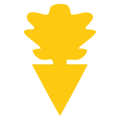 Placa atrapada de insectos transfronterizos doble cara trampa de moscas de forma extraña trampa de insectos placa amarilla patrón de pegamento de insectos trampa