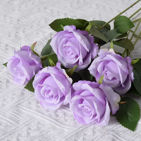 Purple (silk cloth version)