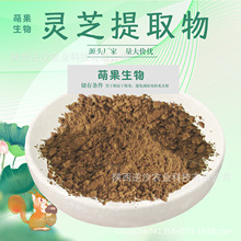 灵芝提取物10:1 水溶灵芝粉 灵芝多糖 灵芝三萜 厂家直供萌果现货